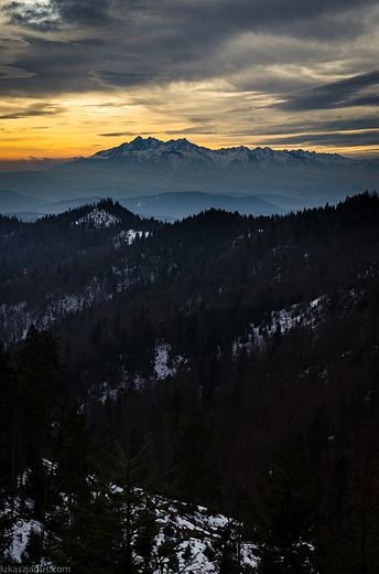 Widok na Tatry z Przehyby