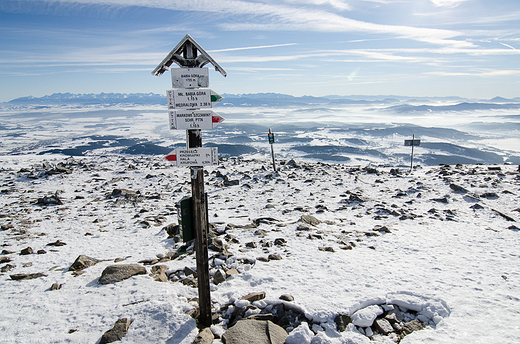 Widok na Tatry z Babiej Gry