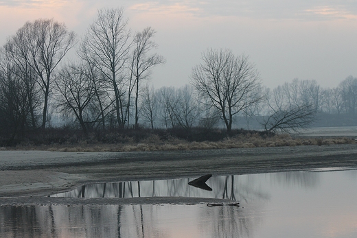 Rezerwat Wyspy Zawadowskie - 31 grudnia 2013