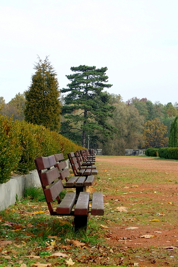 Zesp paacowo-parkowy w wierklacu