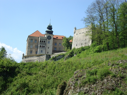 Zamek w Pieskowej Skale