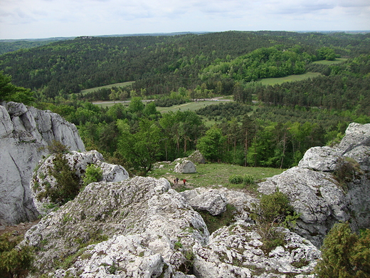 Rezerwat Przyrody Gra Zborw