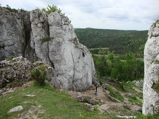 Rezerwat Przyrody Gra Zborw