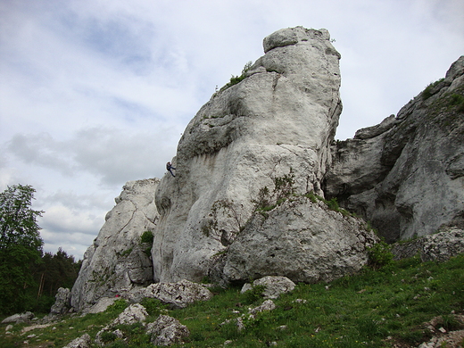 Rezerwat Przyrody Gra Zborw