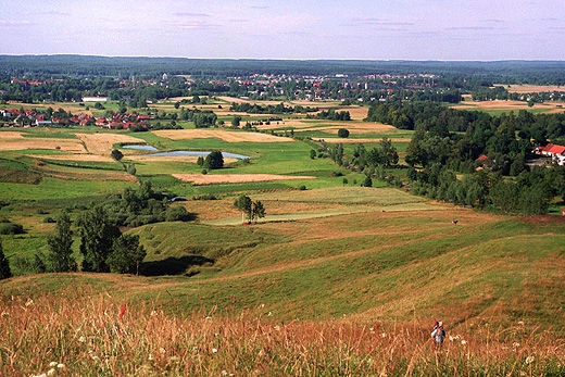 Gra Godapska - widok Godapi i Puszczy Rominckiej