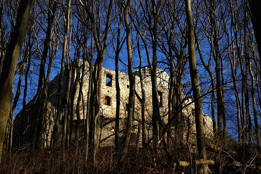 To ruiny zamku, widziane z podna wzgrza.