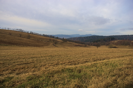 Sudecka polana niedaleko wsi Rzeczka