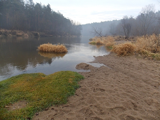 Szczypiorno. Styczniowy poranek nad Wkr.