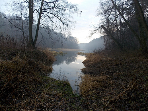 Szczypiorno. Styczniowy poranek nad Wkr.