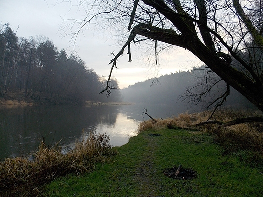 Szczypiorno. Styczniowy poranek nad Wkr.