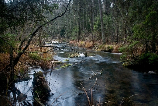 Szumica rzeka Kamionka.