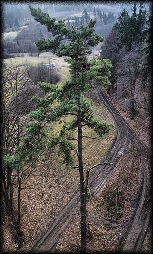 widoki z wiaduktu danowskiego