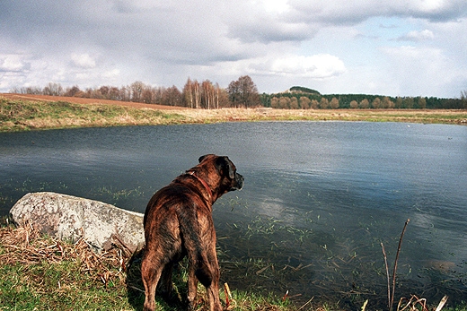 Jeziorko wytopiskowe w Udziejku Grnym. Suwalszczyzna