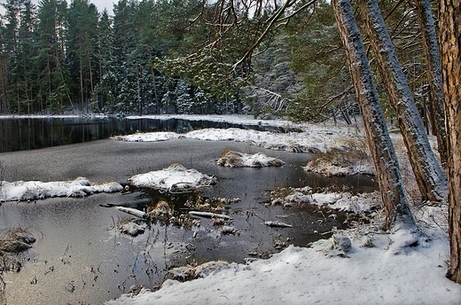 Nad Sucharem IV w Wigierskim Parku Narodowym.