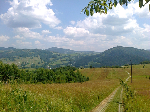 W d do Piwnicznej.