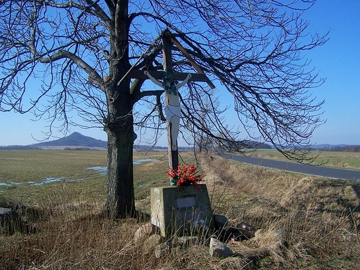 W tle - wulkaniczne wzniesienie Ostrzyca Proboszczowska na Pogrzu Kaczawskim