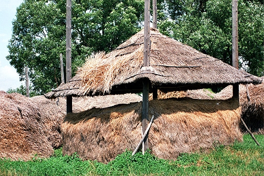 Zarzecze - brogi na siano