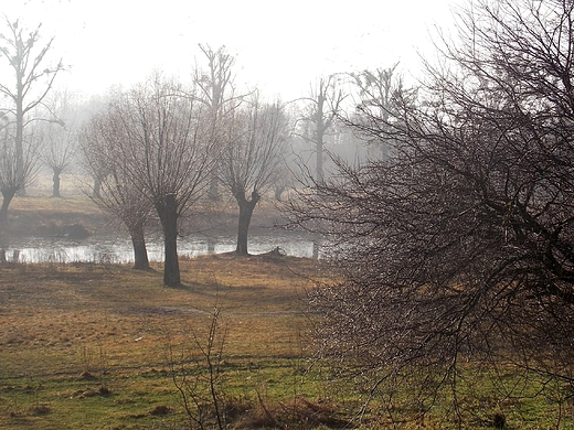 Szczypiorno. Poranek nad Wkr.