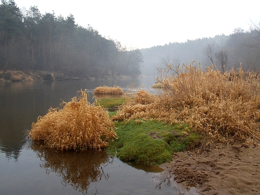 Szczypiorno. Styczniowy poranek nad Wkr.