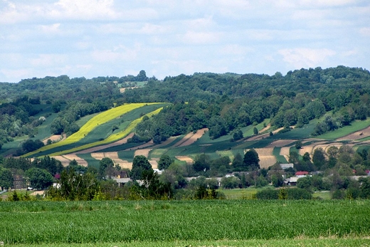 okolice Szczebrzeszyna