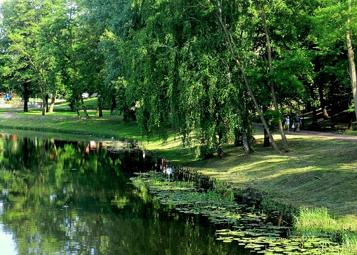 Drezdenko