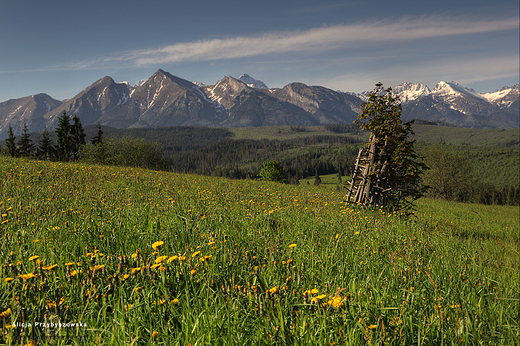 Za rogiem Tatry