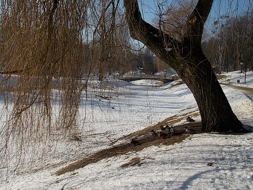 Warszawa. Zimowy Park Moczydo.