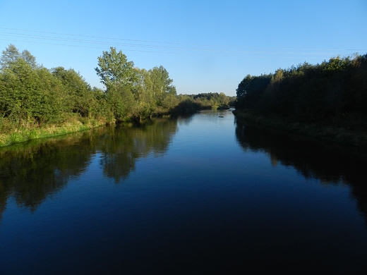 Rzeka Tanew