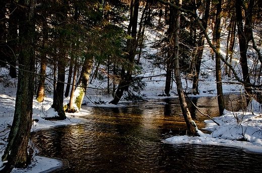 Rzeka Kamionka w zimowej scenerii.