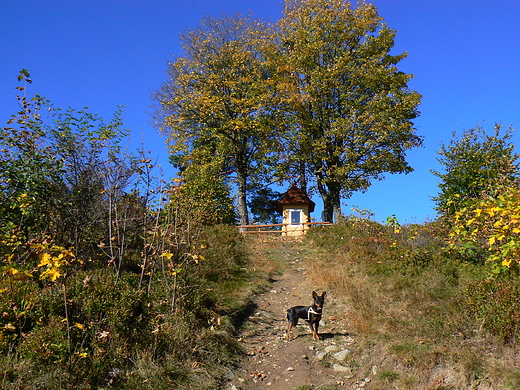 Kapliczka pod hal Niemcow.