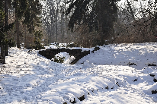 Mostek w zimowym parku. Warszawa
