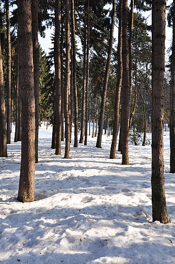 Park Skaryszewski. Warszawa