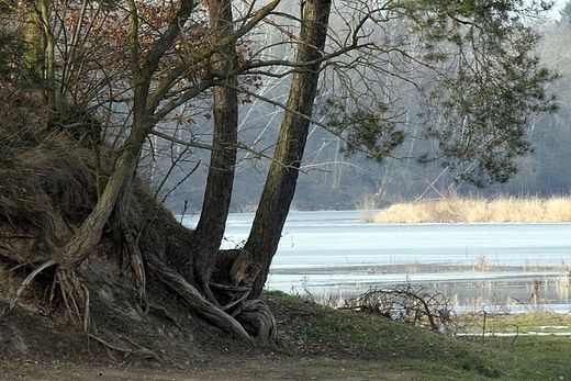 Ostoja nadbuaska - 21.02.2014