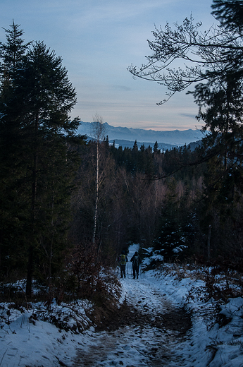 Zejcie ze Szczebla z widokiem na Tatry