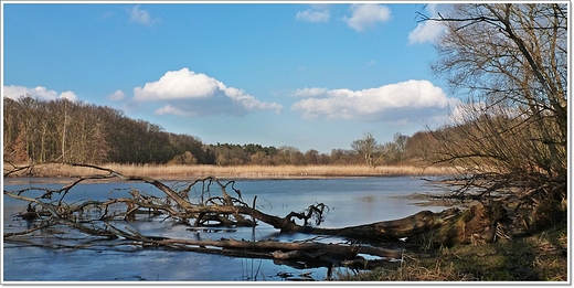 Dbno - uroczysko , starorzecze Warty