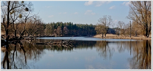 Dbno - uroczysko , starorzecze Warty