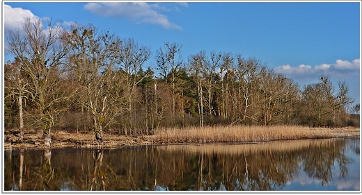 Dbno - uroczysko , starorzecze Warty