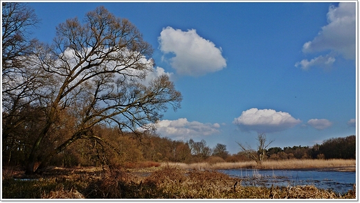 Dbno - uroczysko , starorzecze Warty