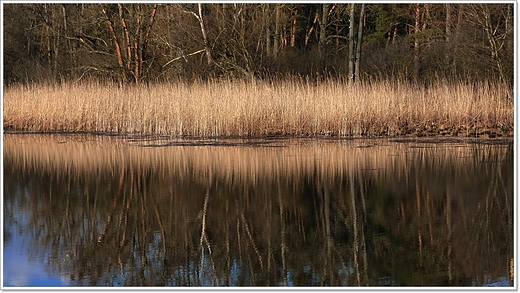 Dbno - uroczysko , starorzecze Warty