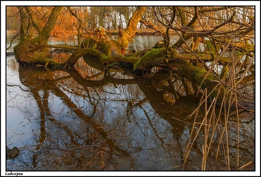 Lubczyna - dawny zesp dworski Sczanieckich