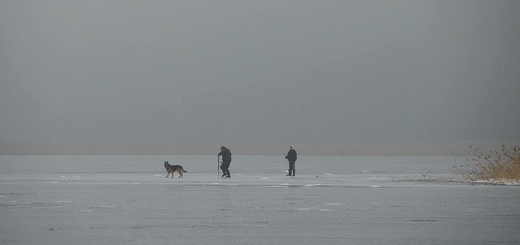 Zimowy zezon wdkarski na jeziorze Wigry nadal trwa.