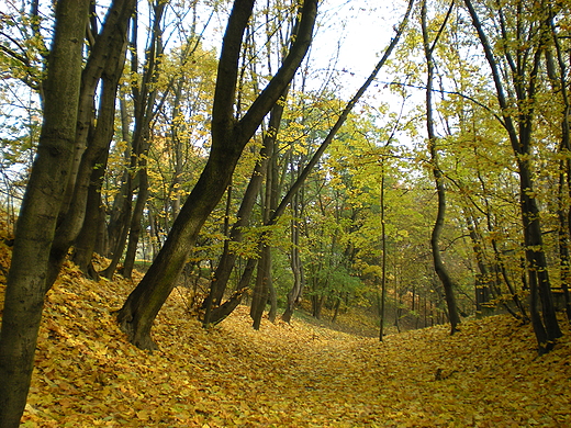 Jesie w Krlikarni. Warszawa