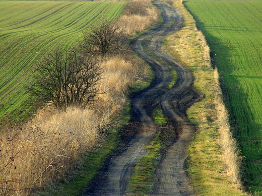 Opolskie klimaty