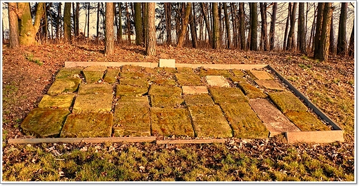 Czerniejewo - ydowski cmentarz
