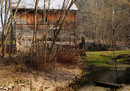 Roztocze. Stary myn nad Jeleniem