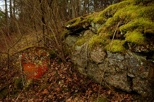 Roztocze. Jzefowski kirkut