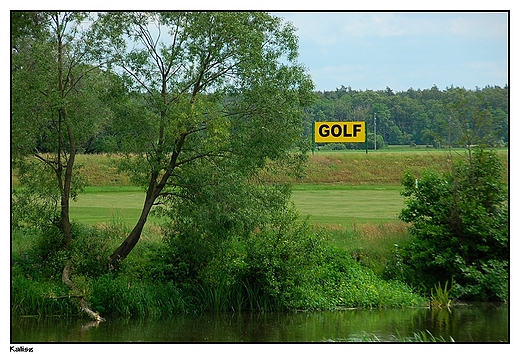 Kalisz - pole golfowe nad Prosn