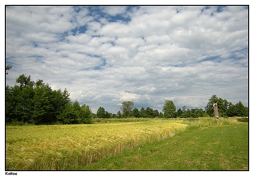 Kalisz - ki nad Prosn