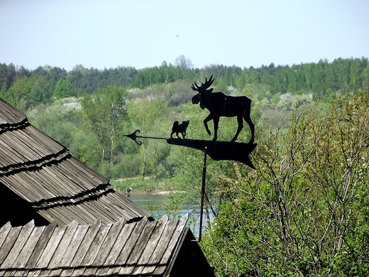 W Kazimierzu nad Wis