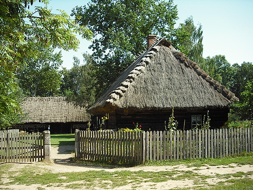 Skansen w Ciechanowcu - Dom Sotysa